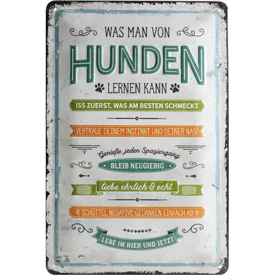 Produktbild von Nostalgic-Art - Blechschild 20 x 30cm - PfotenSchild - Was man von Hunden lernen kann