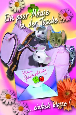 Produktbild von Geburtstag  Geldkarte - Glückwunschkarte im Format 11,5 x 17
