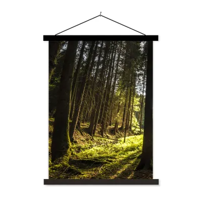 Produktbild von MuchoWow® Textilposter Baum - Natur - Sonne - Wald 60x80 cm mit schwarzem Rahmen - Plakathalter