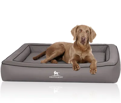 Produktbild von Knuffelwuff Orthopädisches Hundebett aus Laser gestepptem Kunstleder Hampstead 155 x 125cm Grau