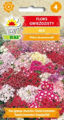 Zdjęcie produktu dla Floks gwieździsty MIX mieszanka Nasiona kwiatów - 500 Toraf