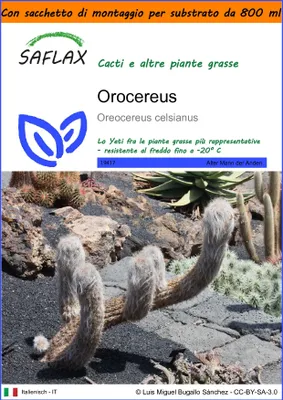Immagine prodotto di SAFLAX Garden in the bag - Orocereus - 40 semi - Oreocereus