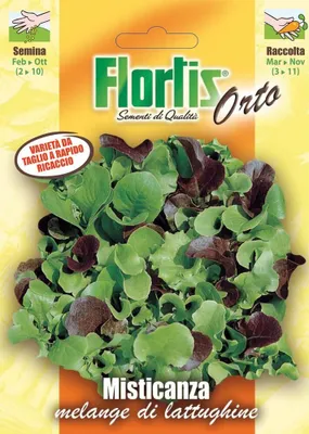 Produktbild von Schnittsalat Mischung | Salatsamen von Flortis