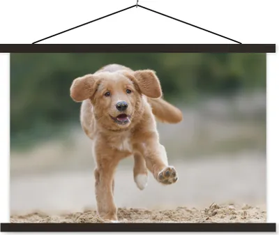 Produktbild von MuchoWow® Textilposter Ein Golden Retriever Welpe 150x100 cm mit schwarzem Rahmen - Schlafzimmer