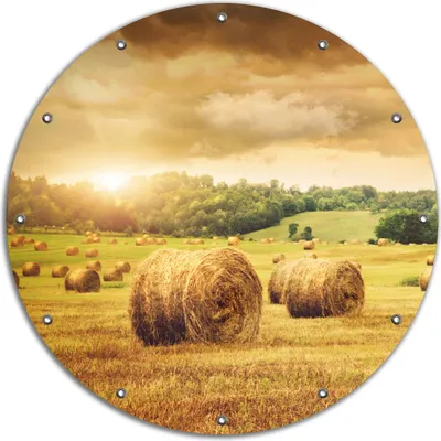 Produktbild von Wallario rundes Outdoor-Poster für Garten oder Balkon, Motiv Strohballen auf dem Feld bei Sonnenuntergang, 90 cm Durchmesser