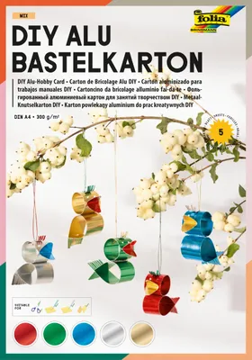 Image de folia 591 folia Alu Bastelkarton Mix, DIN A4, 5 Blatt, 300 g/qm