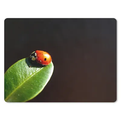 Produktbild von MuchoWow® Mauspad Mousepad Marienkäfer Blatt schwarzer Hintergrund 40x30 cm - Mousepads - Maus Mat - Pad - Mausunterlage - Anti Rutsch