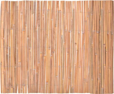 Zdjęcie produktu dla vidaXL Bambusaun 100×400 cm