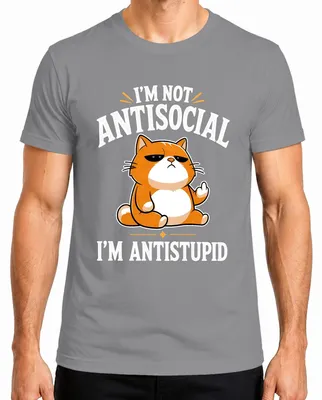 Immagine prodotto di "NON SONO ANTISOCIALE, SONO ANTISTUPIDO" - Maglietta da uomo, colore grigio, taglia XL, con scritta sarcastica. (Marca: Katze)