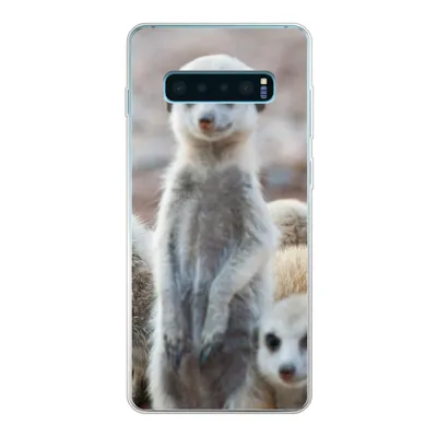 Produktbild von MuchoWow® Handyhülle Schutzhülle Hülle für Samsung Galaxy S10 Lite Neugierige Erdmännchen Silikon Softcase Handy Hülle - Schutz