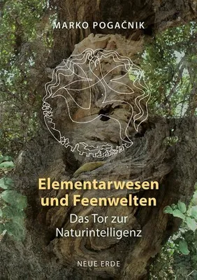 Immagine prodotto di Elementarwesen und Feenwelten