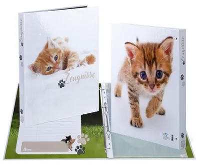 Immagine prodotto di HERMA 20174 Raccoglitore ad anelli per pagelle HERMA "Gatti", DIN A4