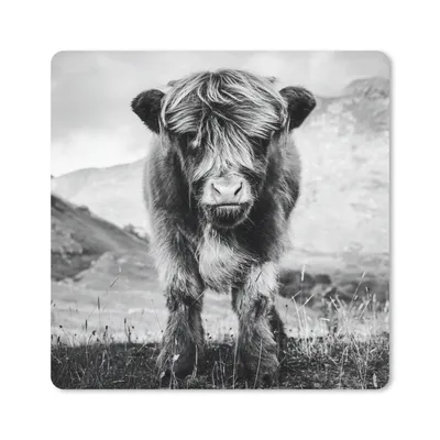 Produktbild von MuchoWow® Mauspad Mousepad Schottischer Highlander - Berg - Schwarz - Weiß 20x20 cm - Mousepads - Maus Mat - Pad - Mausunterlage - Desk Mat - Bureauartikeln