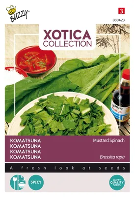 Produktbild von Buzzy Xotica Komatsuna Mustard Spinach Samen - Ca. 3 gr | Buzzy_080423