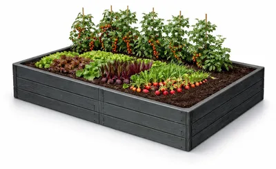 Obrázok produktu pre Vyvýšený záhon BASE WOODY ECO WOOD 149,2 cm, antracit