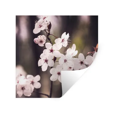 Produktbild von MuchoWow® Wandtattoo Wandsticker Wandaufkleber Blumen - Weiß - Natur - Pflanze - Blüte 30x30 cm Selbstklebend und Repositionierbar - Repositionierbar - Wasser abweisend
