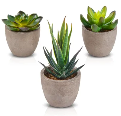 Image de Plantes artificielles, petites plantes artificielles en pot pour décorer une table, un appartement, un balcon ou un bureau