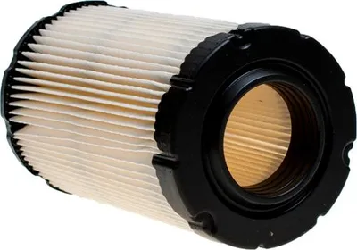 Immagine prodotto di Filtro Aria Briggs&Stratton Per Trattori 796031 Originale