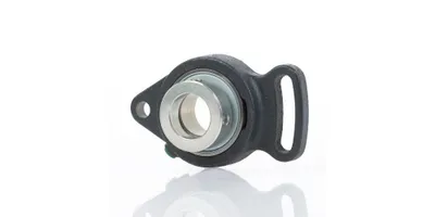 Image de Unité de boîtier de serrage INA PSFT30 30 mm
