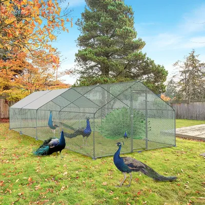 Image de Enclos pour poulets - Abri pour poulets - Parcours pour poulets - Poulailler - Enclos extérieur - Dimensions : 3 x 8 x 2 mètres - Structure en acier galvanisé