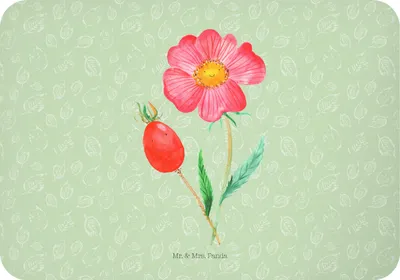 Produktbild von Mr. & Mrs. Panda magnet Blume Hagebutte - Blattgrün - Geschenk, memomagnet, whiteboardmagnet, Schlechte Gedanken, Lebensfreude, küchenmagnet, Garten, Kühlschrankmagnet