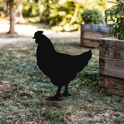 Produktbild von Evila Originals, Chicken 01, Dekofigur, Schwarz, 100 % METALL, 64 x 42 cm