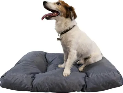 Produktbild von Hundekorb 75x50x10 cm BANANAIR grau