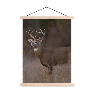Produktbild von MuchoWow® Textilposter Herbst - Hirsche - Gras - Natur - Tiere 60x80 cm mit holzfarbenen Rahmen - Wandbild