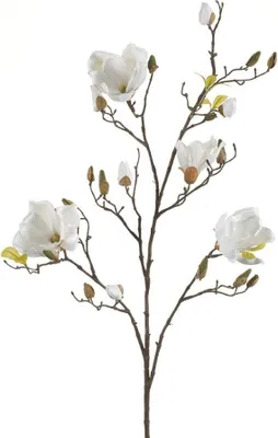 Produktbild von künstlicher Magnolienzweig creme weiß H. 105cm Emerald Kunstblumen
