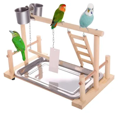 Produktbild von Vogel Spielplatz Holz Gym Vogelständer mit Schaukel und Futterbechern 36x25x23 cm