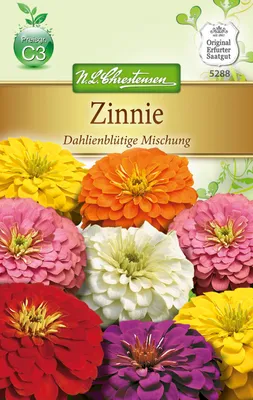 Artikelbild 1 von 'Zinnie Dahlienblütige Mischung' aus der Kategorie Zinniensamen