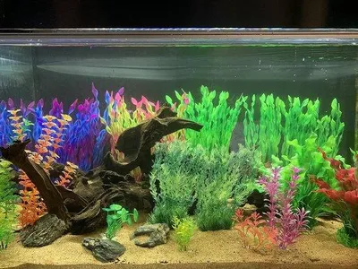 Productafbeelding van Famanu Aquariumdecoratie, 14 stuks kunstplanten - groen