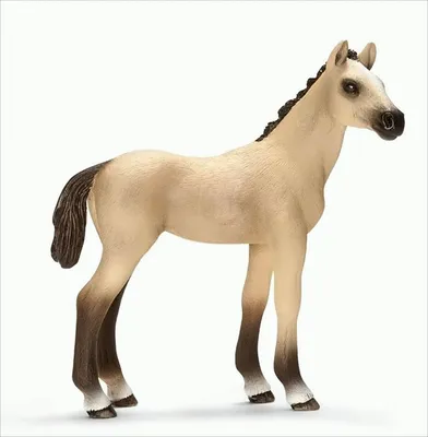Image de Schleich 13702 Poulain Achal Tekkiner