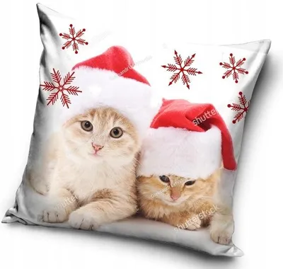 Produktbild von Carbotex Kissenhülle weihnachtlich mit Katzenmotiv 40x40