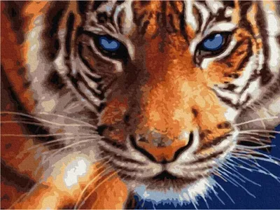 Produktbild von ARTULIO - Diamond Painting Set - Tiger Porträt mit Blauen Augen - 40 × 30 cm - Bilder DIY, 5D Diamant Painting, Crystal Art