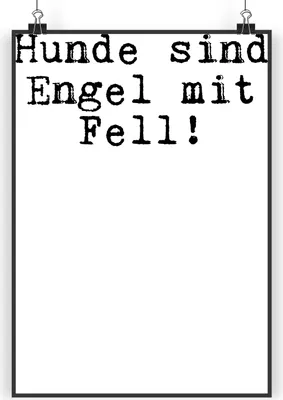 Produktbild von Mr. & Mrs. Panda Bild Hunde sind Engel mit... DIN A3 - Schwarz - Geschenk, Wandbild, Glizer Spruch Sprüche Weisheiten Zitate Lustig Weisheit Worte, Deko, Plakat, Haustier