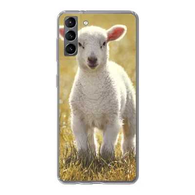 Produktbild von MuchoWow® Handyhülle Schutzhülle Hülle für Samsung Galaxy S21 Plus Schafe - Gras - Sonne Silikon Softcase Handy Hülle - Handy-Tasche