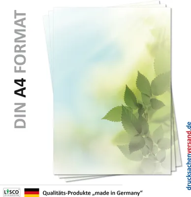 Produktbild von Motiv Briefpapier (Natur-5125, DIN A4, 100 Blatt) grünes Laub Bäume Baum Birken Motivpapier Blätter