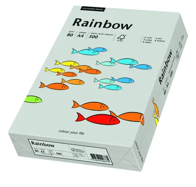 Produktbild von Papyrus Rainbow A4 500er, A4 (210×297 mm), Matt, Grau
