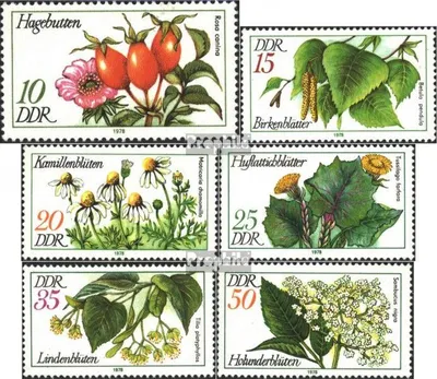 Produktbild von Briefmarken DDR 1978 Mi 2287-2292 (kompl.Ausgabe) gestempelt Arzneipflanzen