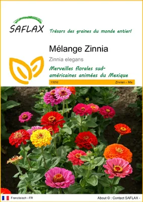 Image de SAFLAX  - Mélange Zinnia - 50 graines - Zinnia