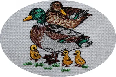 Produktbild von Triolino Waffelpique-Geschirrtuch Küchentuch 100% Baumwolle schöne Stickerei, Grösse:50 cm x 70 cm, Farbe:blaue Streifen - Enten