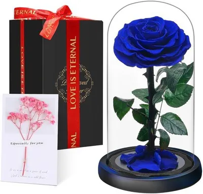 Produktbild von Premium-Ewige Rose im Glas mit Geschenkbox | Echte, konservierte Blume, handgefertigt über 5 Jahre | Einzigartiges Geschenk für Mutter, Oma als Zeichen der Wertschätzung