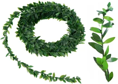 Image de Guirlande de buis, lierre, feuilles vertes, 7,5 m