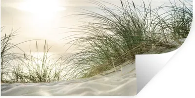 Produktbild von MuchoWow® Wandtattoo Wandsticker Wandaufkleber Dünen mit Strandhafer in der Sonne des Nationalparks Schleswig-Holsteinisches Wattenmeer 40x20 cm Selbstklebend und Repositionierbar - Aufkleber