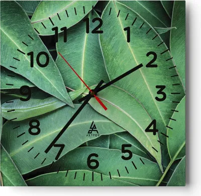 Produktbild von Wanduhr - Quadrat - Glasuhr - Blätter Eukalyptus Natur - 30x30cm - Schleichendes Uhrwerk - Lautlos - zum Aufhängen bereit - Dekoration Modern - Wanddekoration aus Glas - C4AC30x30-4933