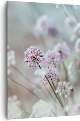 Produktbild von Bild auf Leinwand - Leinwandbild - Einteilig - Wiese Knoblauch Blume - 70x100cm - Wand Bild - Wanddeko - Wandbilder - Leinwanddruck - Wanddekoration - Leinwand bilder - Wandbild - PA70x100-4177
