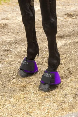 Produktbild von NORTON Neopren Glocken, Hufglocken, Farbe:Schwarz, Größe:S