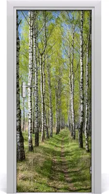 Produktbild von Tulup Türaufkleber 85x205 cm Dekorative Aufkleber Selbstklebend Wasserdichte Tapete Abnehmbar Schlafzimmer Wohnzimmer Wohnkultur - Birkenwald