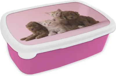 Produktbild von KitchenYeah® Lunchbox Brotzeit Brotdose 17x11 cm Kätzchen - Welpe - Rosa Kinder Brotzeitdose - Lunchpaket - Brotkasten  - Sandwich Box